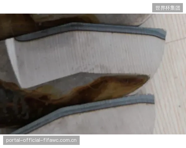 除了增加开销，俱乐部采购的昂贵激光淬火冰刀能给初学者带来什么？
